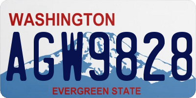 WA license plate AGW9828