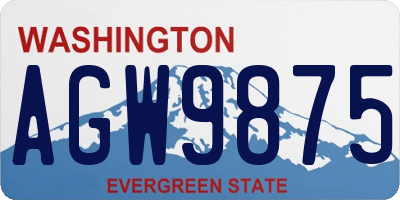 WA license plate AGW9875