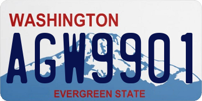 WA license plate AGW9901