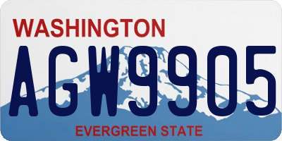 WA license plate AGW9905