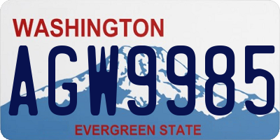 WA license plate AGW9985