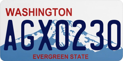WA license plate AGX0230