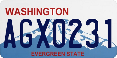WA license plate AGX0231