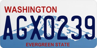 WA license plate AGX0239
