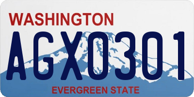 WA license plate AGX0301