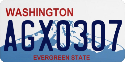 WA license plate AGX0307