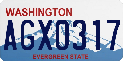 WA license plate AGX0317