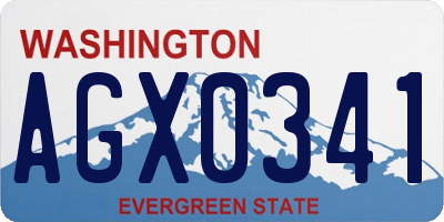 WA license plate AGX0341