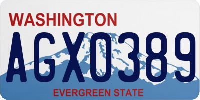 WA license plate AGX0389