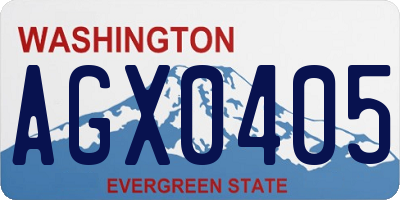 WA license plate AGX0405