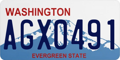 WA license plate AGX0491