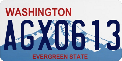 WA license plate AGX0613