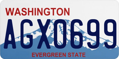 WA license plate AGX0699