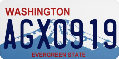 WA license plate AGX0919