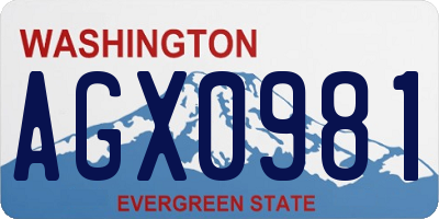 WA license plate AGX0981