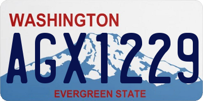 WA license plate AGX1229