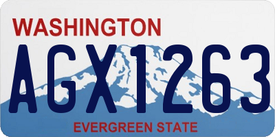 WA license plate AGX1263