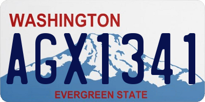 WA license plate AGX1341