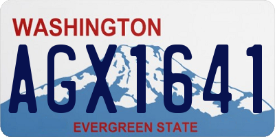 WA license plate AGX1641