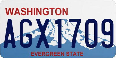 WA license plate AGX1709