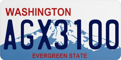 WA license plate AGX3100