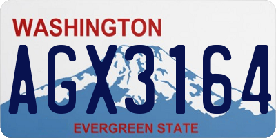 WA license plate AGX3164