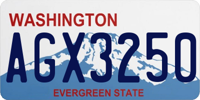 WA license plate AGX3250