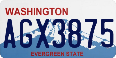 WA license plate AGX3875