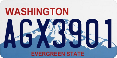 WA license plate AGX3901