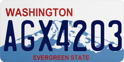 WA license plate AGX4203
