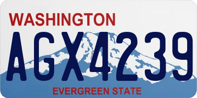 WA license plate AGX4239