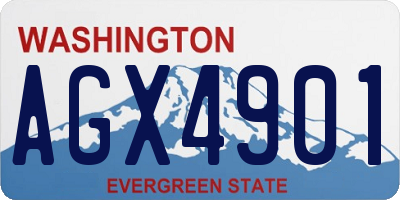 WA license plate AGX4901
