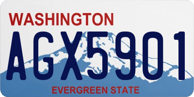 WA license plate AGX5901