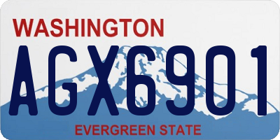 WA license plate AGX6901
