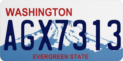 WA license plate AGX7313
