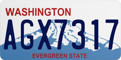 WA license plate AGX7317