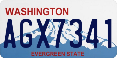 WA license plate AGX7341