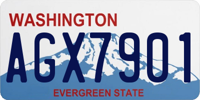 WA license plate AGX7901