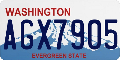 WA license plate AGX7905