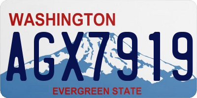 WA license plate AGX7919