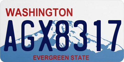 WA license plate AGX8317
