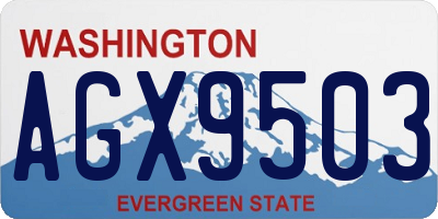 WA license plate AGX9503