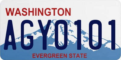 WA license plate AGY0101