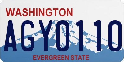 WA license plate AGY0110