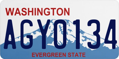 WA license plate AGY0134