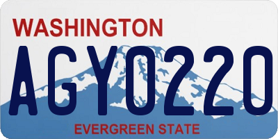 WA license plate AGY0220