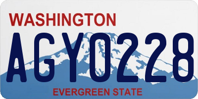 WA license plate AGY0228