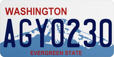 WA license plate AGY0230