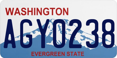 WA license plate AGY0238