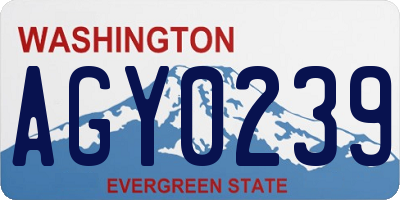 WA license plate AGY0239